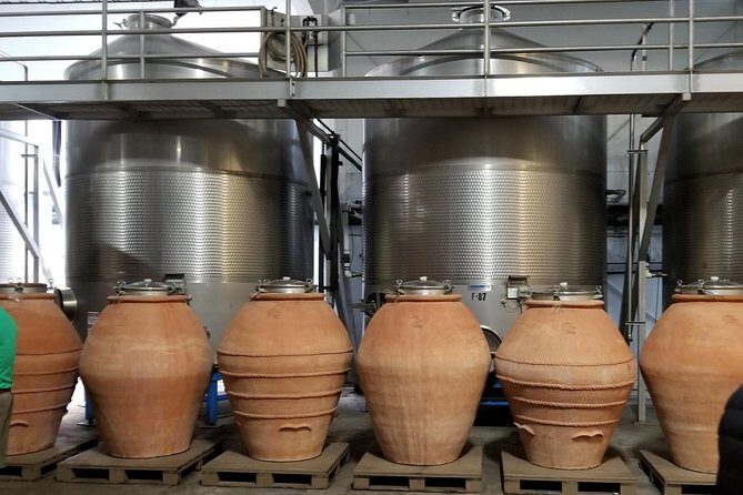 Sonoma Wine Tour with 2 Tastings Included Small-Group Half Day - Transportation, Timing, and the Small-Group Advantage