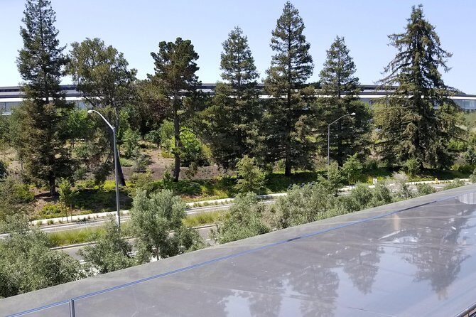 SUV Tour To Silicon Valley Including Stanford Walking Tour - Stanford University on Foot: Rodin, Main Quad, and the Building Tour