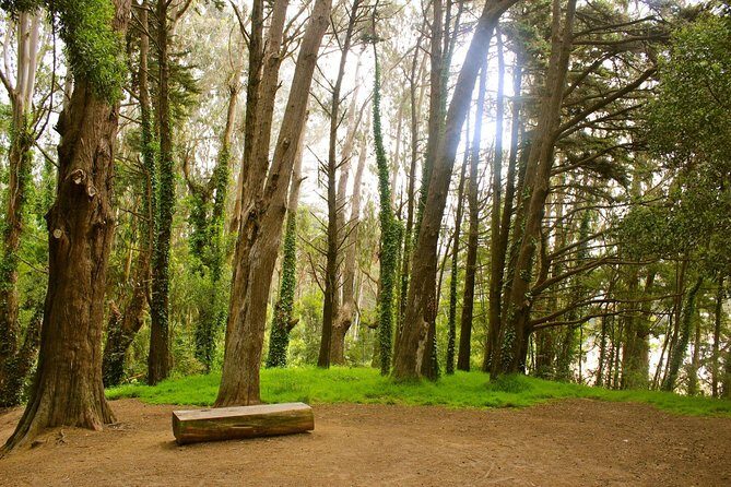 The Presidio: Main Post to the Golden Gate Bridge - Stop 3: Spire and the thrill of scale