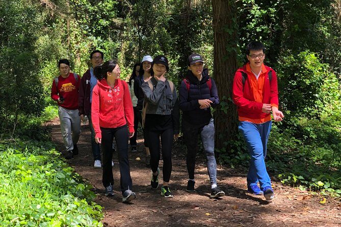 The Presidio: Main Post to the Golden Gate Bridge - Walking the Bay Area Ridge Trail section