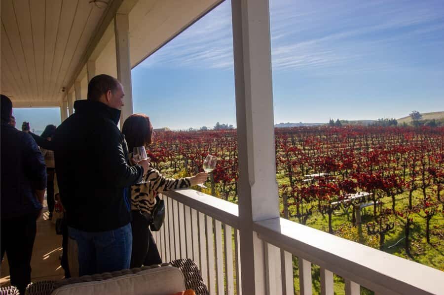 The Ultimate Napa & Sonoma Wine Tour - Golden Gate Bridge Photo Stop: Quick Looks, Good Context