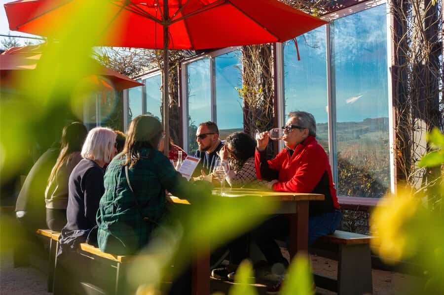 The Ultimate Napa & Sonoma Wine Tour - Meeting Dylan’s Tours in San Francisco (and Getting Comfortable Fast)