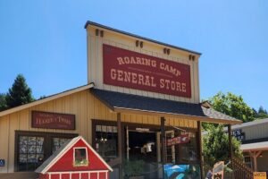 Train Ride Adventure through Mother Natures Giant Redwoods Park - Santa Cruz wildlife stop: quick nature scanning (and why it’s worth it)