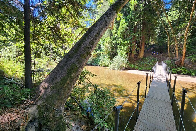 Train Ride Adventure through Mother Natures Giant Redwoods Park - Henry Cowell State Park: giant redwoods in 45 minutes