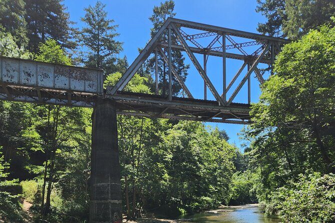 Train Ride Adventure through Mother Natures Giant Redwoods Park - Roaring Camp Railroads: the steam engine ride that makes the day
