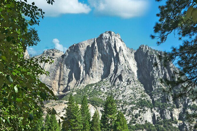 Yosemite Adventure: Full-Day Private Tour from San Francisco - Yosemite Falls and the Merced River: water as the day’s mood switch