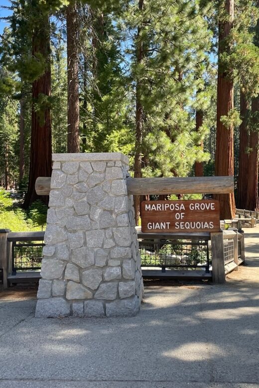 Yosemite, Giant Sequoias, Private Tour from San Francisco - Key things that make this private Yosemite day work