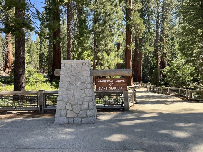 Yosemite, Giant Sequoias, Private Tour from San Francisco - Tunnel View sets the tone: a short stop with big payoff