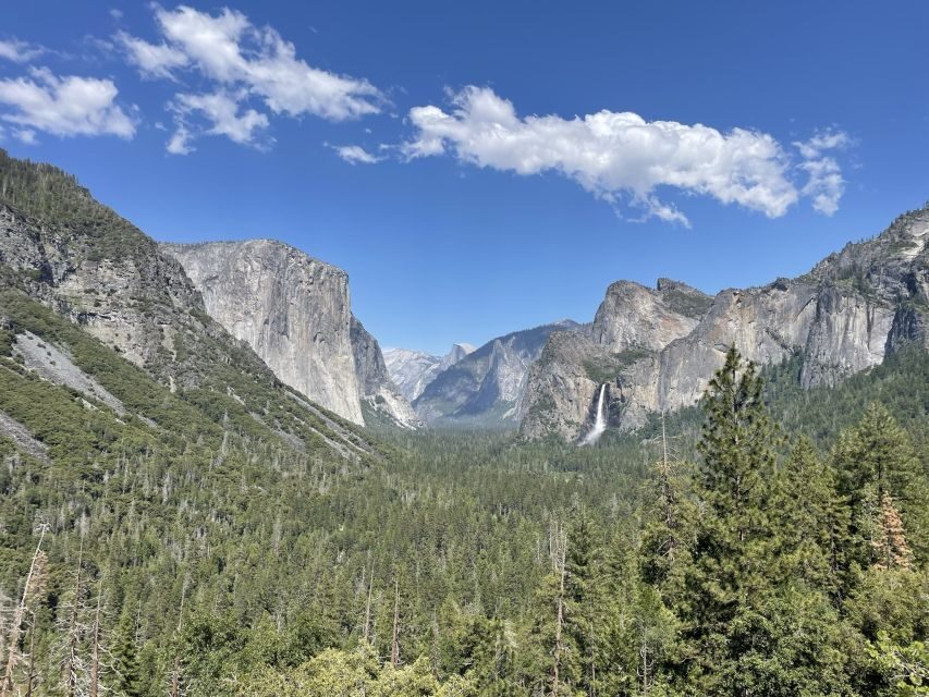 Yosemite, Giant Sequoias, Private Tour from San Francisco - Swinging Bridge picnic area: iconic views with a calm angle
