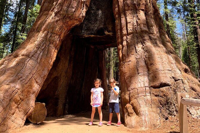 Yosemite Private Tour from San Francisco - A 13-hour Yosemite highlight run, starting at 6:00am
