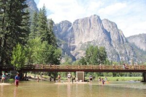 Yosemite Private Tour from San Francisco - Pickup in San Francisco: convenient, not complicated