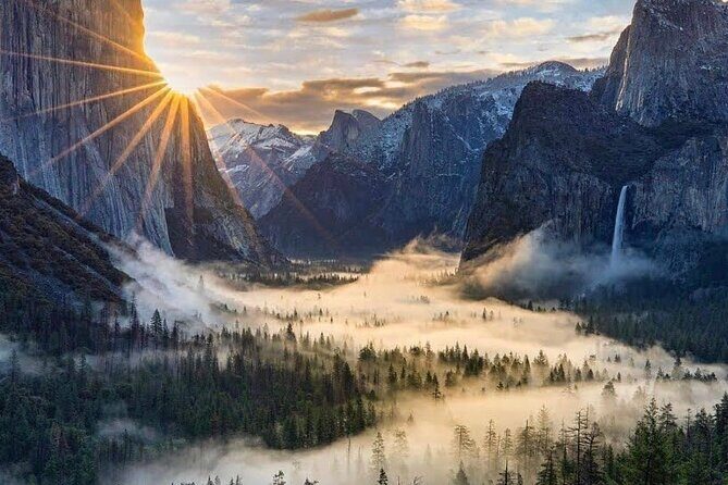 Yosemite Private Tour from San Francisco - Mariposa Grove: giant sequoias and a calmer kind of wow