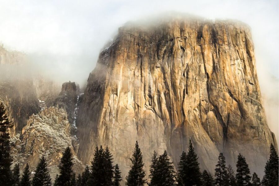 Yosemite Valley: 3-Day Lodging Adventure - Day 1: sequoia grove scales, then a 90-minute Yosemite Valley orientation