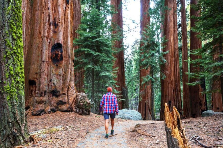 Yosemite Valley: 3-Day Lodging Adventure - Campfire cooking and the communal meal setup: what it feels like