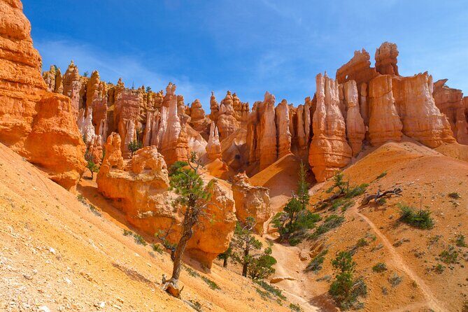 Zion, Bryce, Antelope, Grand Canyon, Las Vegas 6-Day Tour from SF - Key Things I Think You’ll Notice